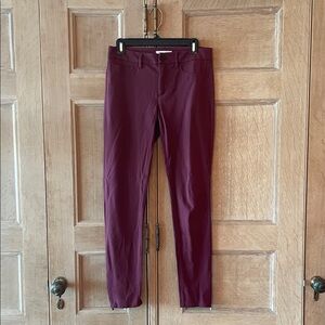 41 Hawthorn Knit Terra Cotta Pants